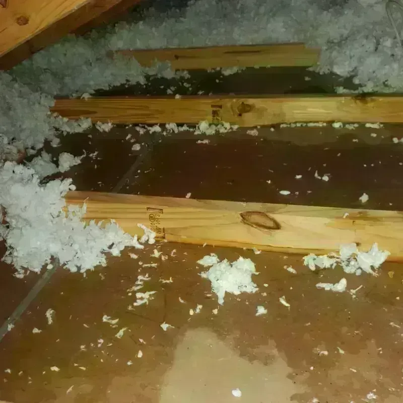 Attic Water Damage in Macon County, MO