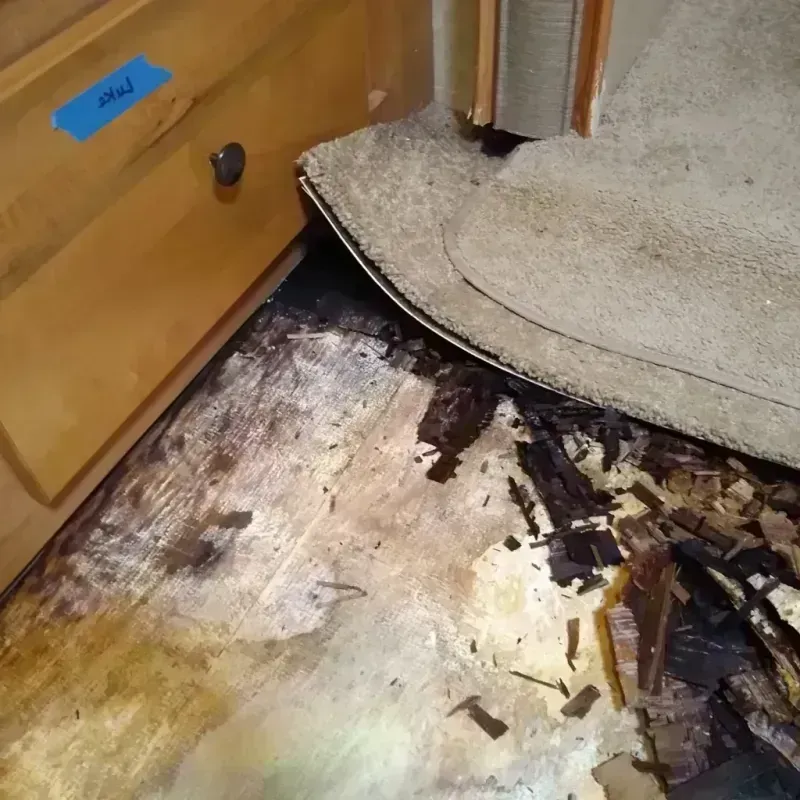 Best Wood Floor Water Damage Service in Macon County, MO